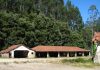 Visitas guiadas às Minas do Braçal