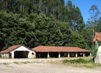 Visitas guiadas às Minas do Braçal