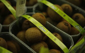 Ministro garante empenho na “valorização da produção nacional de kiwi”