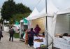São Pedro de Castelões prepara Feira da Castanha