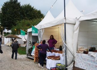 São Pedro de Castelões prepara Feira da Castanha
