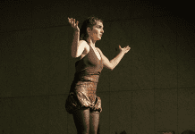 Noite do Circo de Santa Maria da Feira de regresso ao Museu de Lamas