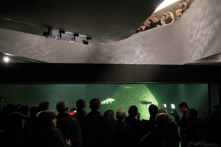 Novo recorde de visitantes no Museu Marítimo de Ílhavo
