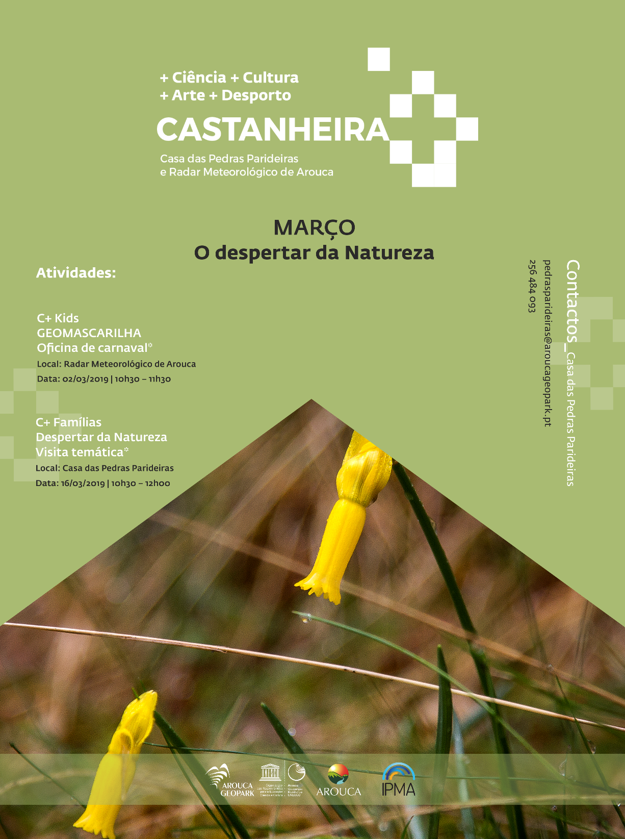 Castanheira mais