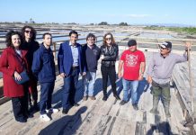 Deputado do PCP de visita às marinhas de sal de Aveiro