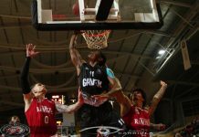 Basquetebol: Ovarense categórica na receção ao Benfica