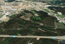 PSD de Albergaria quer Parque Verde da Cidade