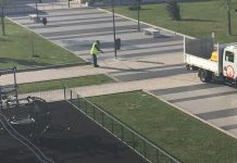 Alboi: Aplicação ilegal de glifosato em jardim público