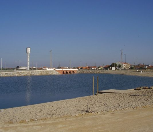 Ílhavo: Futuro do turismo náutico pede “organização em rede” e marina oceânica