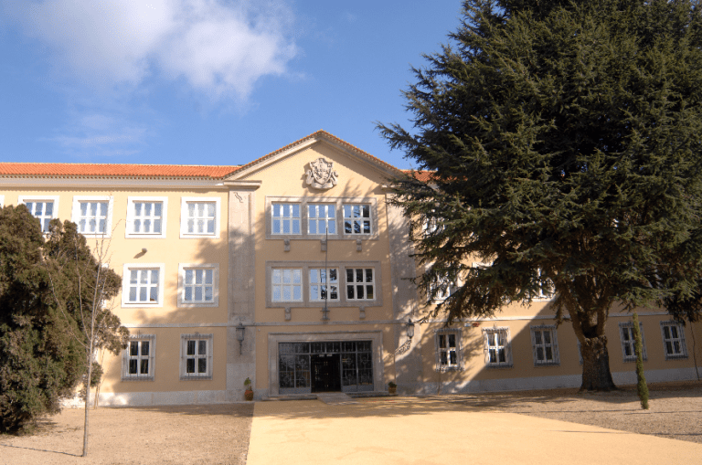 Mais de quatro centenas de computadores disponibilizados para alunos carenciados de Aveiro