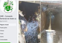 Empresa apanhada a descarregar milhares de litros de águas residuais