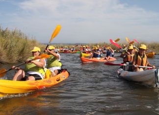 29 de agosto é dia de viver a Ria de Aveiro
