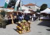 Soza, a ‘Capital da Abóbora’, recebe feira anual