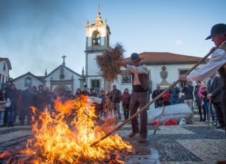 Arouca: Festival das Castanha inclui visita Interpretada pelas “Cores e Sons de Outono”