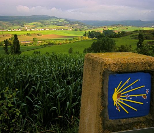 Anadia marcou presença na FAIRWAY