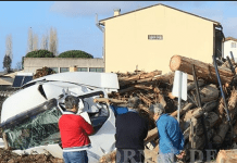 Albergaria-A-Velha: Pesado carregado de madeira ficou destruído após despiste / Condutor com ferimentos leves