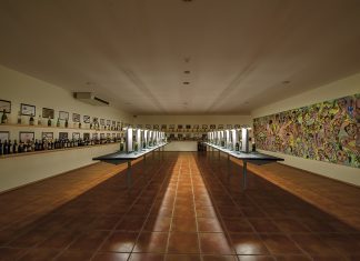 Anadia: 23.º aniversário do Museu do Vinha da Bairrada – Programa comemorativo