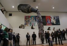 Museu do Vinho da Bairrada com visita gratuita para residentes no último domingo do mês