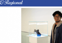 S. João da Madeira: Designer que calçou Lady Gaga e Madonna ofereceu peças ao Museu do Calçado