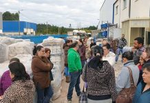 Albergaria-A-Velha: Cerâmica fecha portas / 50 funcionários com futuro incerto