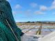 Salinas de Aveiro podem ganhar nova vida através do turismo e da recreação