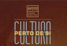Aveiro: Prosseguem as apresentações do programa “Cultura Perto de Si”