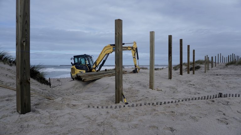 Estabilização do cordão dunar entre aspraias da Barra e da Costa Nova