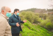 S. João da Madeira: Intervenção paisagística