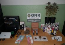 Águeda: GNR deteve dois homens e apreendeu droga e estufas para cultivar