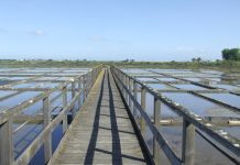 Criação do Parque Natural da Ria de Aveiro