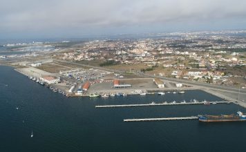 Sobrepesca: Mais de 877 quilos de sardinha apreendidos na lota