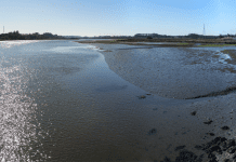 Ilha dos Puxadoiros à venda em leilão