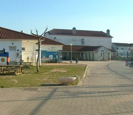 Projeto “Wetlands” da Escola de Pardilhó conquista 2.º lugar nacional