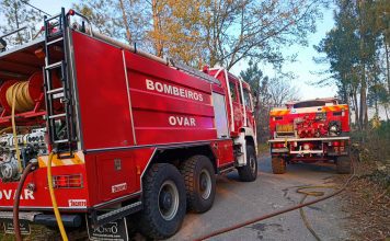 Ovar: Incêndio florestal próximo de centro comercial