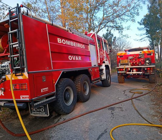 Ovar: Incêndio florestal próximo de centro comercial