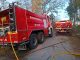 Ovar: Incêndio florestal próximo de centro comercial