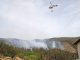 Albergaria-A-Velha: Restabelecimento da floresta abrange 88 hectares
