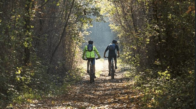 Captura de ecrã 2022-04-11 200327