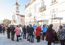 ‘Mercadinho Sustentável’ em São João da Madeira
