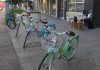 Águeda promove semana de mobilidade sustentável para todas as idades