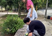 Mealhada: Voluntariado jovem apoia limpeza florestal e de espaços verdes