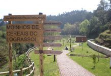 Mealhada organiza visitas pelos moinhos de água