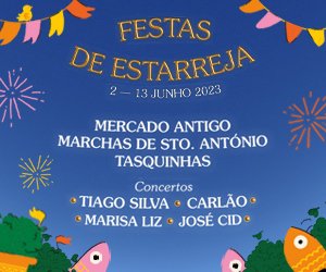 Festas 300X250