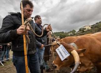 Feira das Colheitas leva dias de festa a Arouca