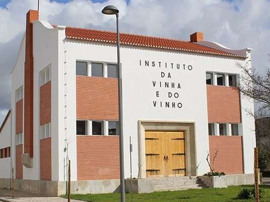 Vinhos da Mealhada premiados em Itália