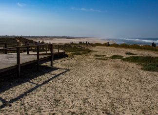 Federação de Aveiro do PS exige prioridade para a defesa da orla costeira