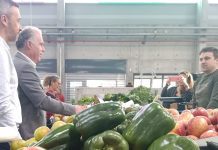 Novo mercado da Mealhada entrou em atividade
