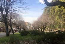 Visita guiada pelo Luso seguindo os passos das memórias de Emídio Navarro