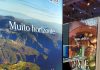 ‘AnimAgosto 2026’ em Vale de Cambra