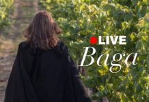 Baco Valley: Vinhos raros e que se tornam códigos do luxo